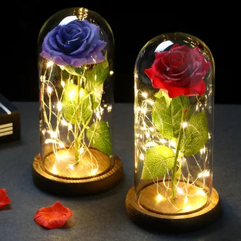 Rosas Galaxia Led en Cupula