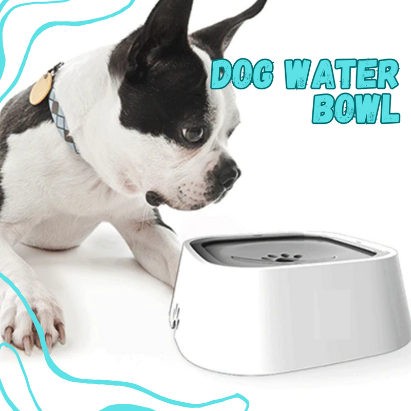 Dog Water Bowl - Dispensador de Agua  para Mascotas